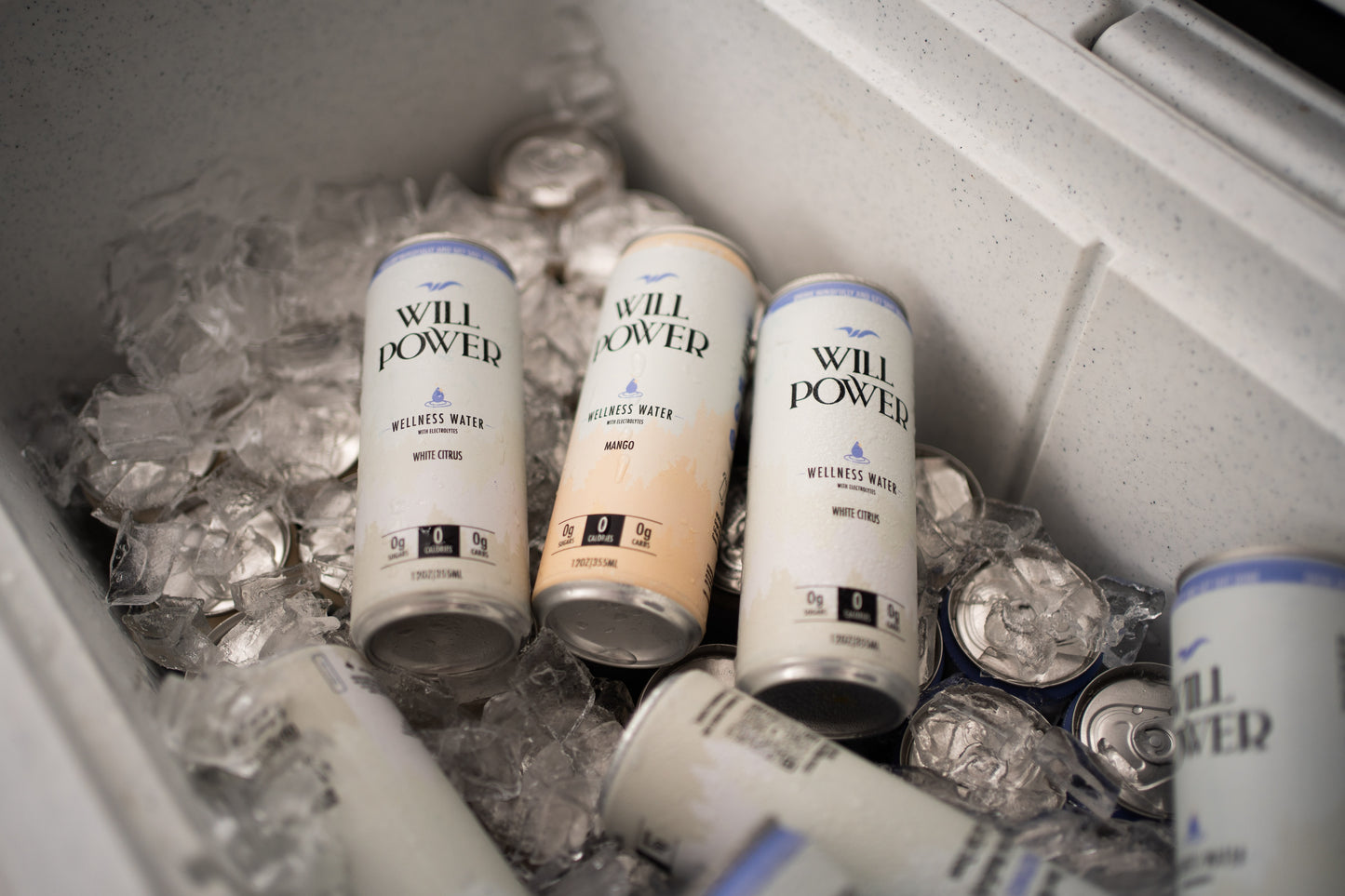 Willpower Wellness Water