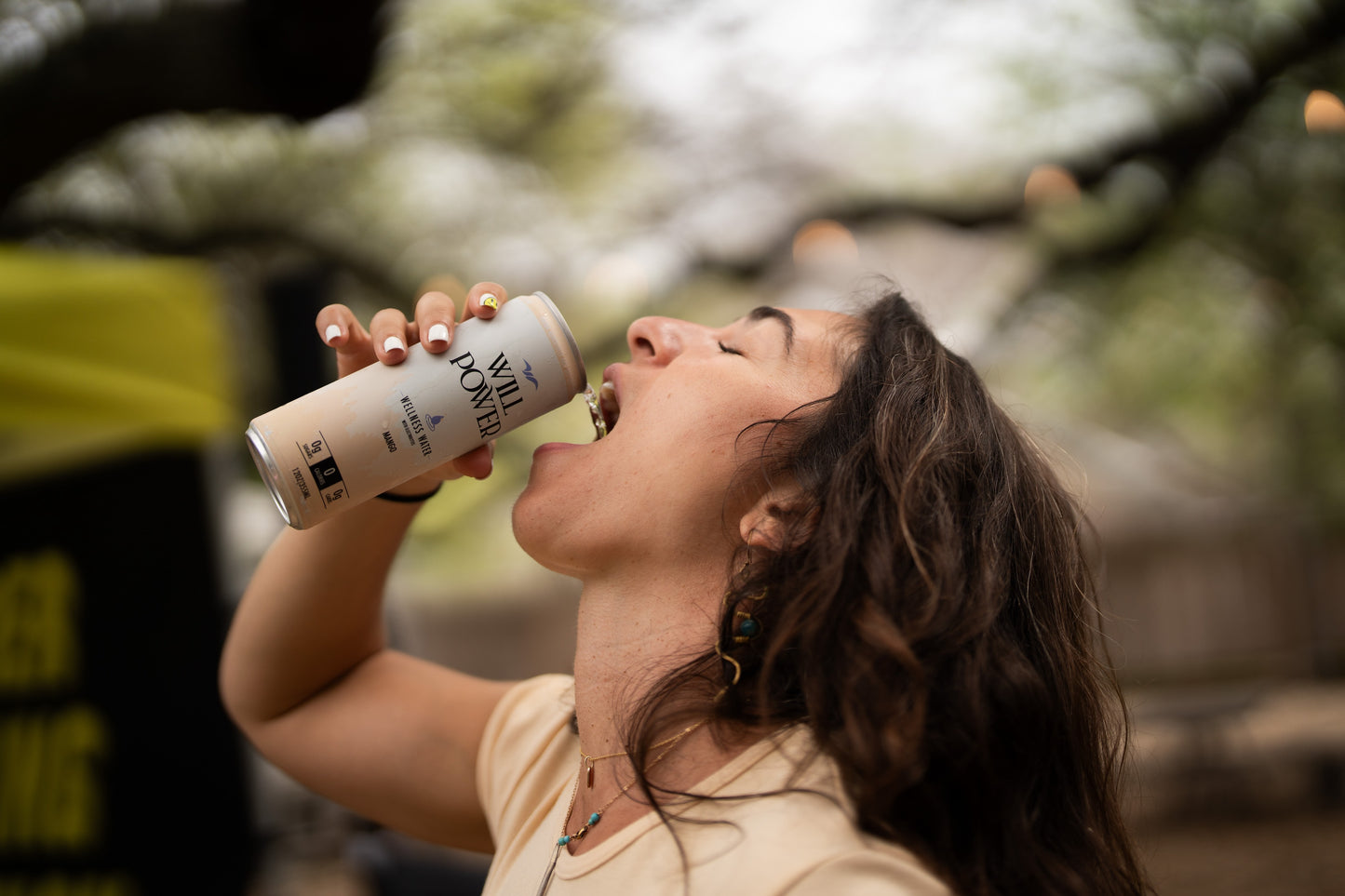 Willpower Wellness Water